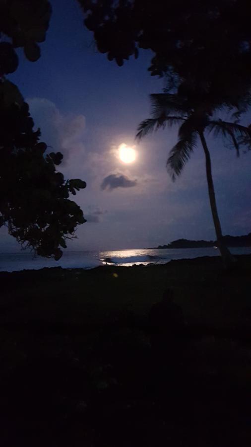 Hostal Hilltop Capurganá المظهر الخارجي الصورة